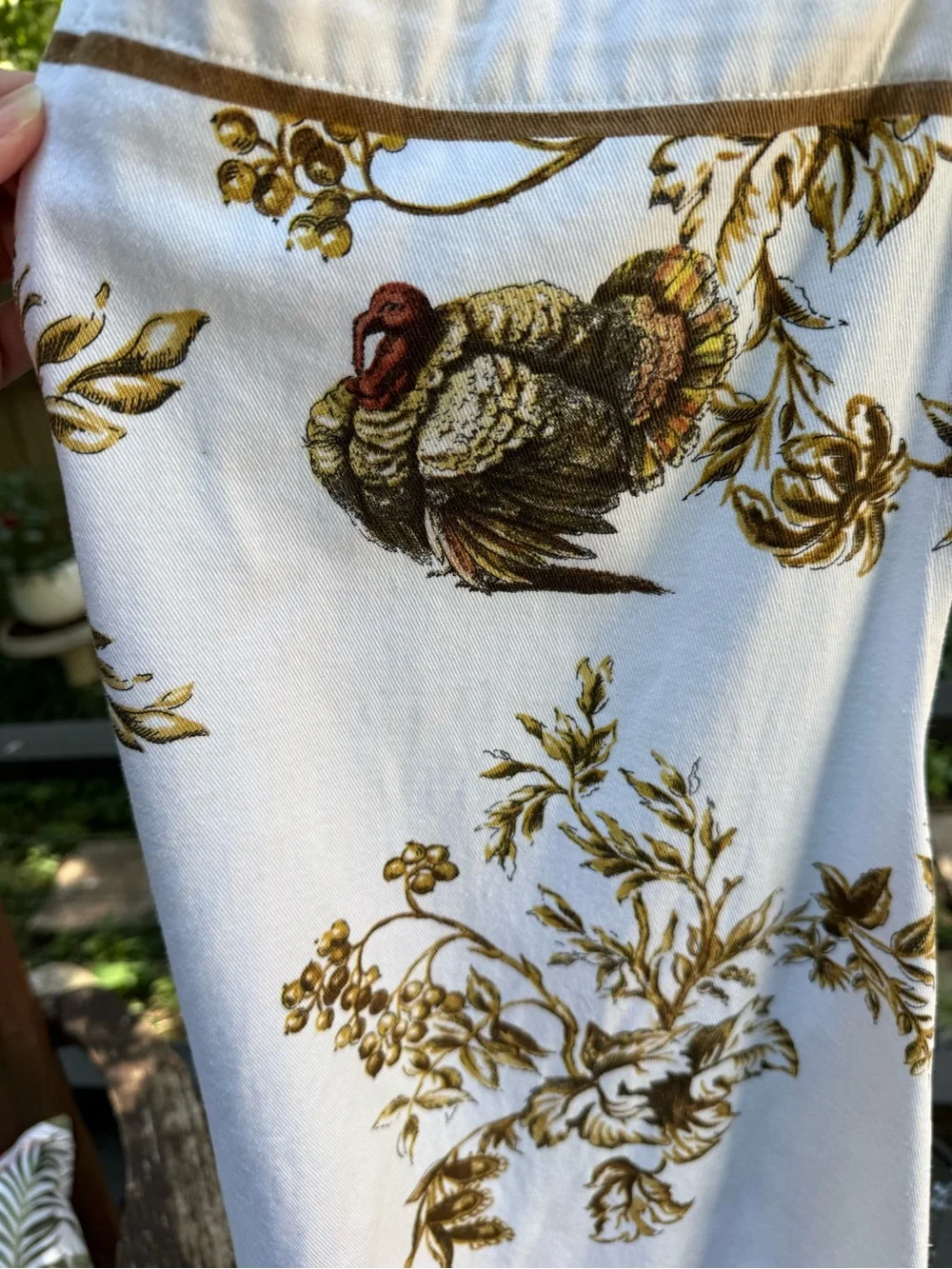Williams Sonoma Turkey Apron
